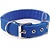 Igoods Igoods Halsband - Halsband voor Honden - Verstelbaar - Nylon - 50cm - Blauw