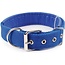 Igoods Igoods Halsband - Halsband voor Honden - Verstelbaar - Nylon - 50cm - Blauw