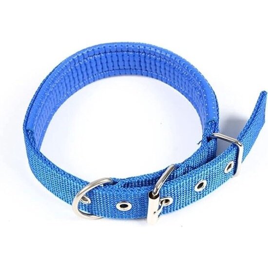 Igoods Igoods Halsband - Halsband voor Honden - Verstelbaar - Nylon - 50cm - Blauw