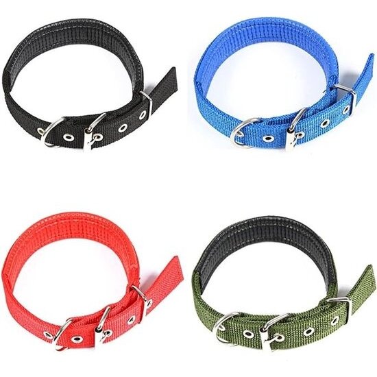 Igoods Igoods Halsband - Halsband voor Honden - Verstelbaar - Nylon - 50cm - Blauw