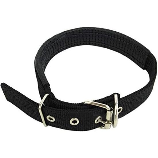 Igoods Igoods Halsband - Halsband voor Honden - Verstelbaar - Nylon - 50cm - Zwart