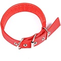 Igoods Igoods Halsband - Halsband voor Honden - Verstelbaar - Nylon - 50cm - Rood