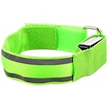 Igoods Igoods LED Halsband - Hondenhalsband - Lichtgevende Halsband - Verlichting Hond - Waterdicht -  Groen