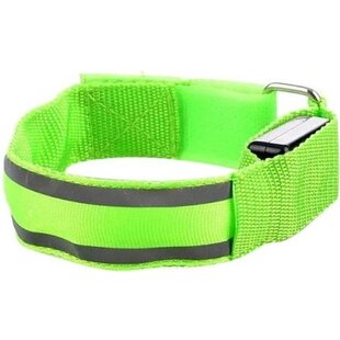 Igoods LED Halsband - Hondenhalsband - Lichtgevende Halsband - Verlichting Hond - Waterdicht -  Groen