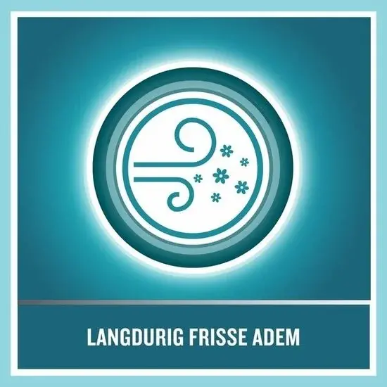 Listerine Listerine Mondwater Tand- en Tandvleesbescherming - Mildere Smaak - 500ml