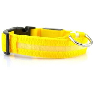 IGOODS LED hondenhalsband - Super Bright Safety Pet Collar - Halsband voor hond met ledlamp - verhoogde zichtbaarheid - Geel