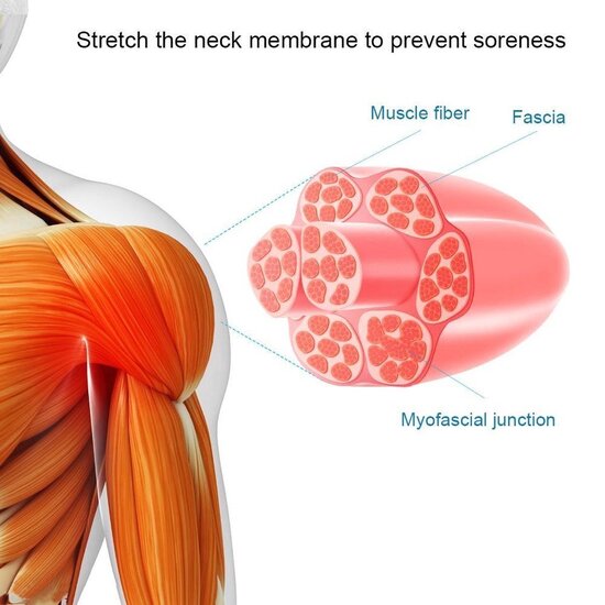 Imtex Imtex Massage-gun - Massagepistool - 6 Vibratieniveaus - 4 Opzetstukken - Spierherstel - Relax Massage - Draadloos - Zwart
