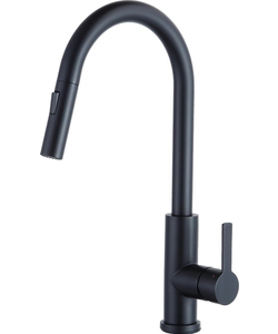 Igoods Keukenkraan - Keukenkraan met Uittrekbare Uitloop - Handdouche - 360° Draaibaar - RVS - Zwart
