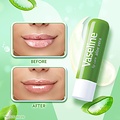 Vaseline Vaseline Lippenbalsem - Aloe Vera - 4.8gr