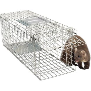 Igoods Kattenvangkooi - Kattenvanger - Vangkooi - Diervriendelijke Kattenvangkooi - Marterverjager - Martervangkooi - Steenmarterkooi - 110 x 33 x 36cm