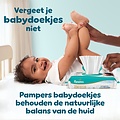 Pampers Pampers Premium Protection Pants - Maat 5 - 74 Luierbroekjes