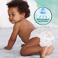 Pampers Pampers Harmonie - Maat 5 - 19 Luiers
