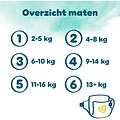 Pampers Pampers Harmonie - Maat 5 - 19 Luiers