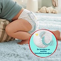 Pampers Pampers Premium Protection Pants - Maat 3 - 64 Luierbroekjes