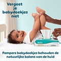 Pampers Pampers Premium Protection - Maat 1 - 156 Luiers