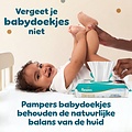 Pampers Pampers Baby-Dry Nappy Pants – Maat 6 –138 Luierbroekjes 