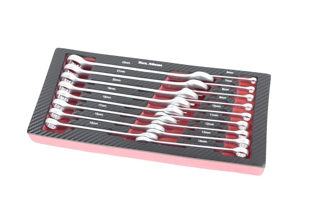 TM 17-teiliges metrisches Pitch – Ringschlüssel-Set in Schaumstoffeinlage in Carbonoptik