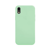 ShieldCase Coque silicone Pantone iPhone Xr (vert clair)