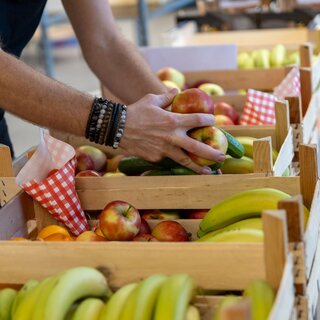 Wilco de Toffe Peer Schoolfruit Fruitkoelkast met glasdeur