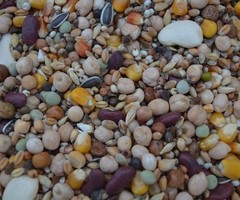 Partikelmix zonder noten droog