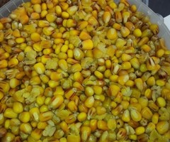 Kant & Klaar Mais franse