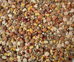 Partikelmix met noten droog