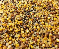 Kant & Klaar Tijgernoten  Maple peas  Hennep  Mais