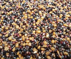 Kant & Klaar voorjaarsmix