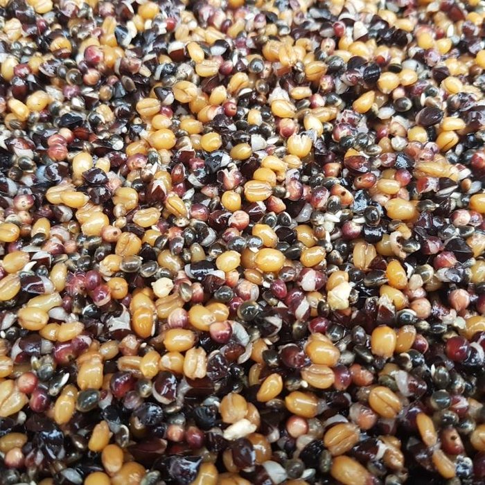 Kant & Klaar voorjaarsmix