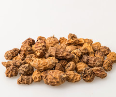 XXL Tijgernoten 10-35 mm