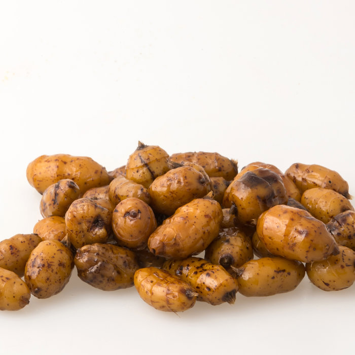 XXL Tijgernoten 10-35 mm