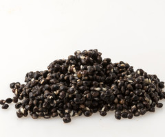 Kant & Klaar Hennepzaad