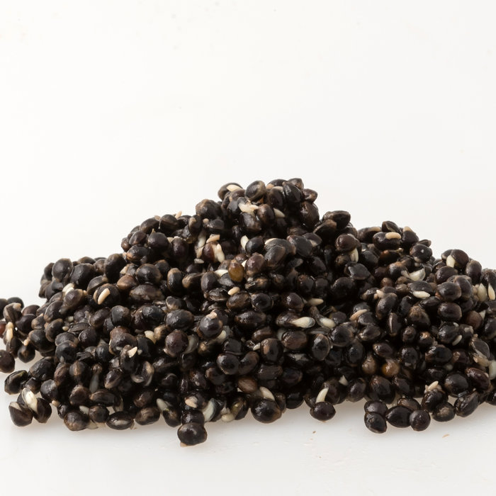 Kant & Klaar Hennepzaad