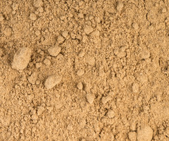 Koekjes meel vanille