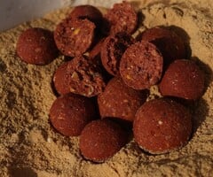 Red Shrimp 25 kg 20 mm