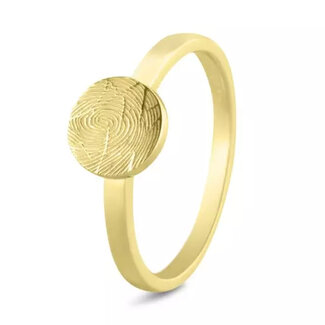 See You 456-Y14 Plain signet disk ring  SeeYou 14 krt. GG