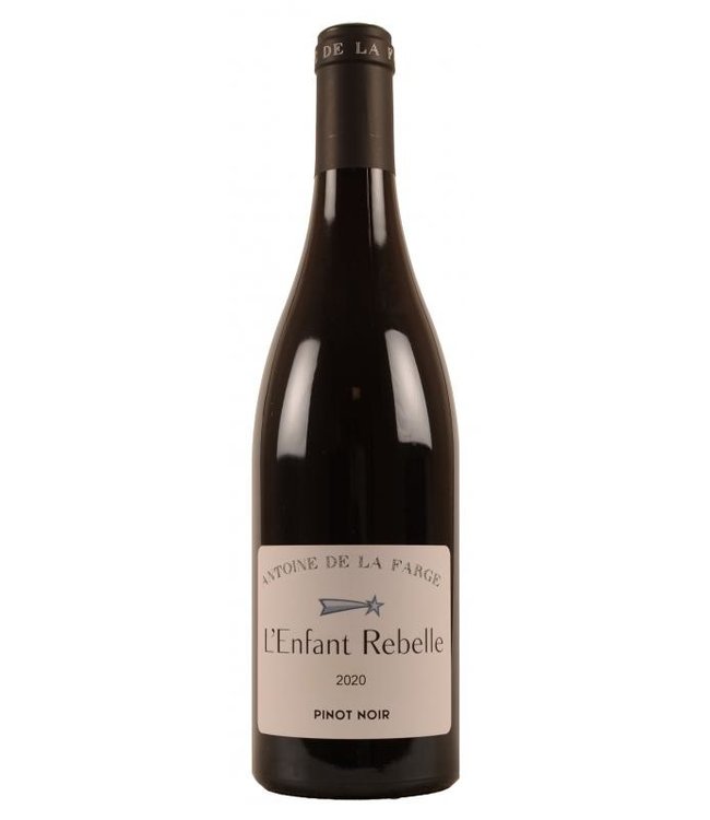 L'Enfant Rebelle Pinot Noir - Grand Vin - Artisan des Terroirs