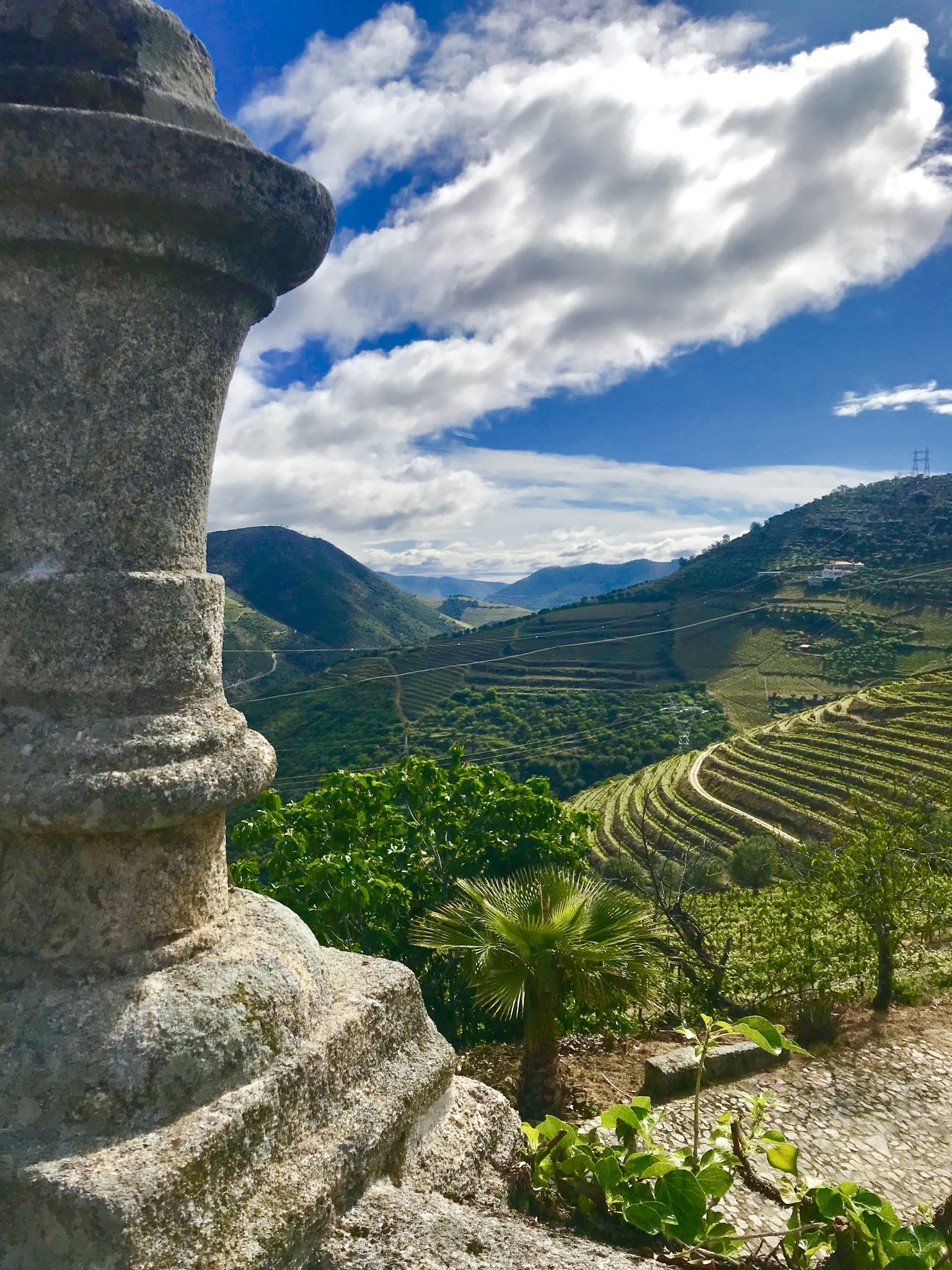 De Douro Valley gezien vanaf Qta. St. Eufemia