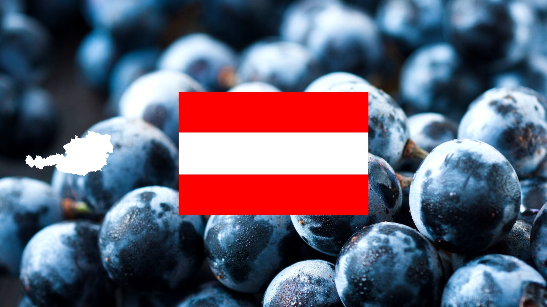 Rode wijn uit Oostenrijk – elegant, verfijnd en vol karakter