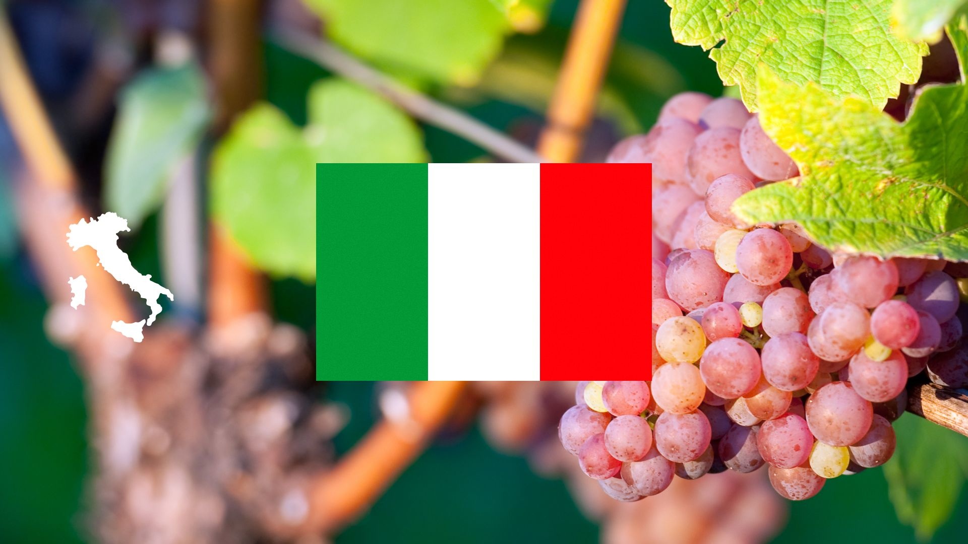 Italiaanse rosé – van frisse rosato tot mousserende rosé