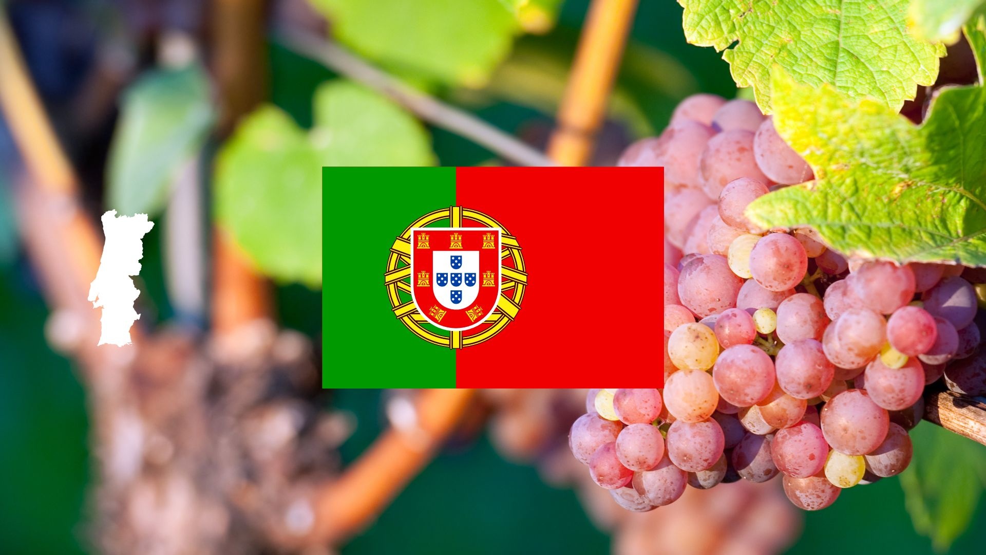 Rosé uit Portugal