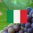 Italië