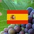 Spanje