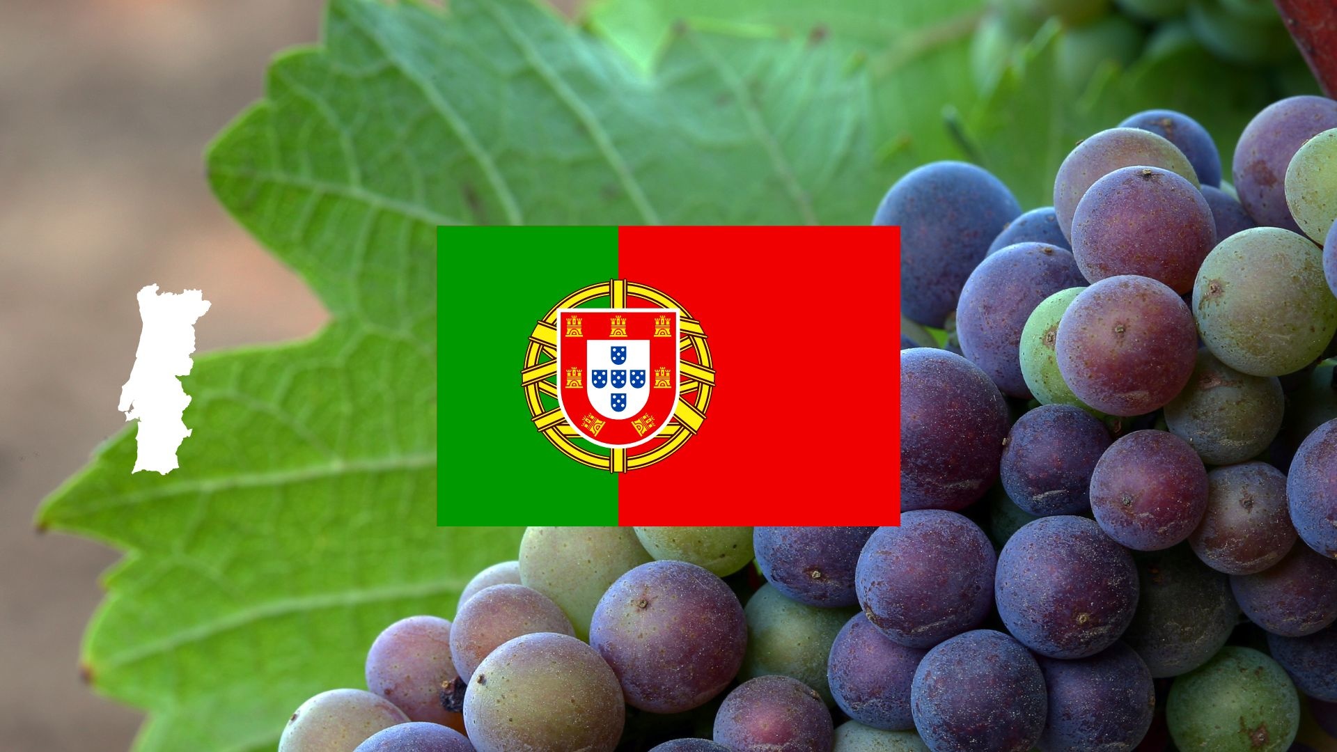 Mousserende wijn uit Portugal