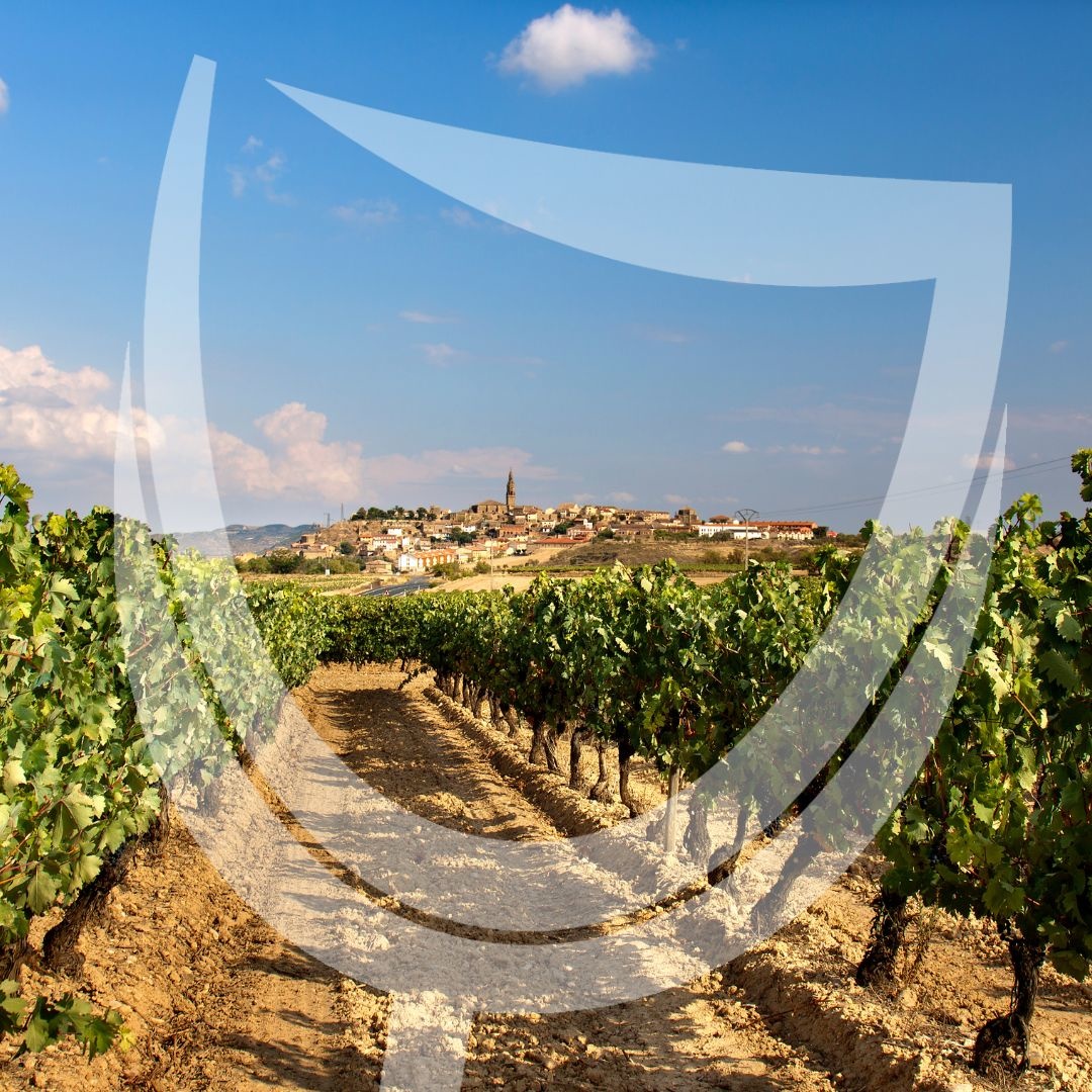 Witte wijn uit Rueda