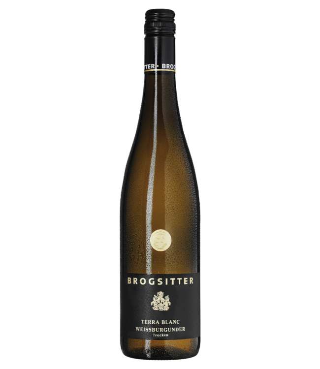 Weingut Brogsitter Terra Blanc Weissburgunder