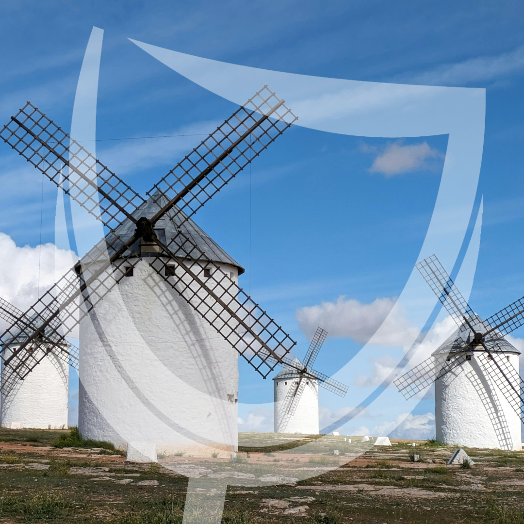 Rode wijn uit Castilla-La Mancha