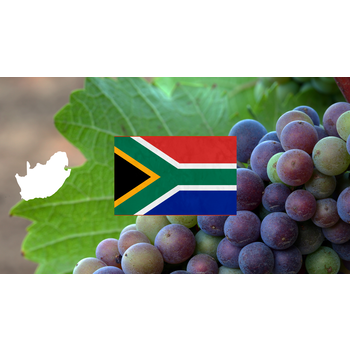 Zuid-Afrika