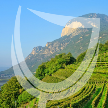 Trentino-Alto Adige