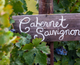 Cabernet Sauvignon: bekend van Bordeaux tot Australië
